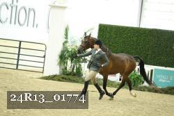 24R13_01774 thumbnail
