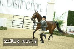 24R13_01775 thumbnail