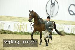 24R13_01777 thumbnail