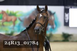 24R13_01784 thumbnail