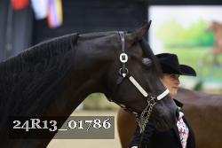 24R13_01786 thumbnail