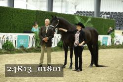 24R13_01801 thumbnail