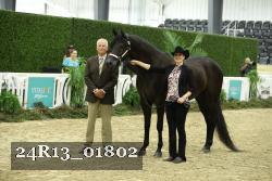 24R13_01802 thumbnail