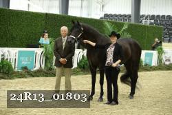 24R13_01803 thumbnail