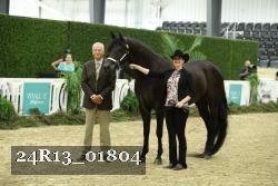 24R13_01804 thumbnail