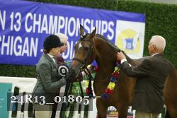 24R13_01805 thumbnail