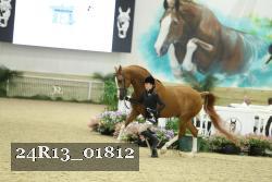 24R13_01812 thumbnail