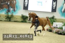 24R13_01813 thumbnail