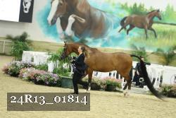 24R13_01814 thumbnail