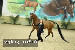 24R13_01816 thumbnail