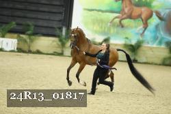 24R13_01817 thumbnail