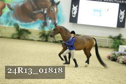 24R13_01818 thumbnail