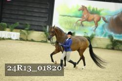 24R13_01820 thumbnail