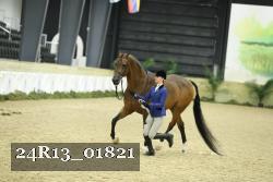 24R13_01821 thumbnail