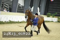 24R13_01822 thumbnail