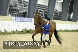24R13_01823 thumbnail