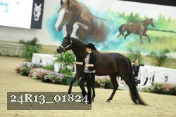 24R13_01824 thumbnail