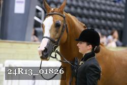 24R13_01826 thumbnail