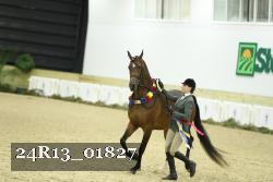 24R13_01827 thumbnail
