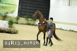 24R13_01828 thumbnail