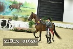 24R13_01829 thumbnail