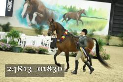 24R13_01830 thumbnail