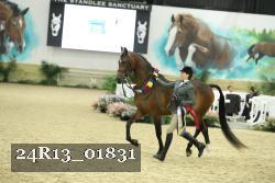 24R13_01831 thumbnail