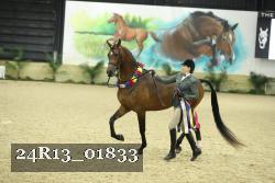 24R13_01833 thumbnail