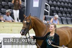 24R13_01834 thumbnail