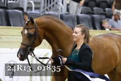 24R13_01835 thumbnail