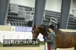 24R13_01836 thumbnail