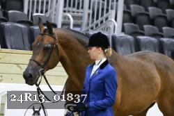 24R13_01837 thumbnail