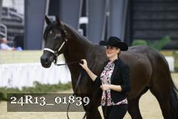 24R13_01839 thumbnail