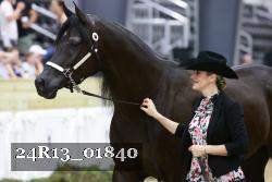 24R13_01840 thumbnail
