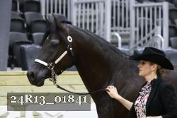 24R13_01841 thumbnail