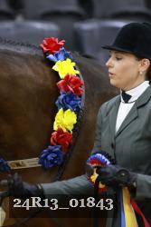 24R13_01843 thumbnail