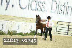 24R13_01845 thumbnail