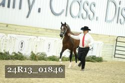 24R13_01846 thumbnail