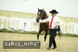 24R13_01847 thumbnail