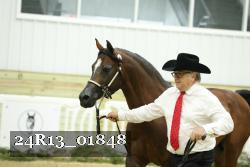 24R13_01848 thumbnail