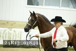 24R13_01849 thumbnail