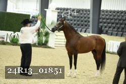 24R13_01851 thumbnail
