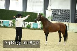 24R13_01852 thumbnail