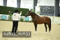 24R13_01853 thumbnail