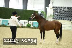 24R13_01854 thumbnail