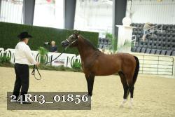 24R13_01856 thumbnail