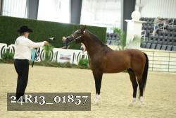 24R13_01857 thumbnail