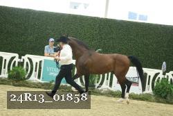 24R13_01858 thumbnail