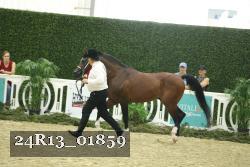 24R13_01859 thumbnail