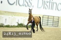 24R13_01860 thumbnail